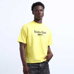 Attack on titans T-shirt